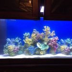00606_2TkXJGqlPq6_600x450.jpg
