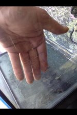 ImageUploadedByTapatalk1408633119.324270.jpg ImageUploadedByTapatalk1408633119.324270.jpg