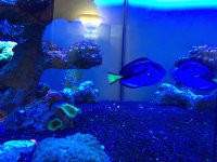 IMG_6113.JPG