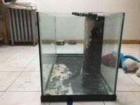 ImageUploadedByReefs2015-02-14 14:29:03 EST.jpg