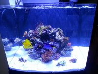 20130830_180538.jpg