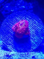 IMG_2028.jpg