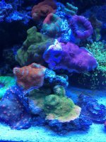 IMG_0110.jpg
