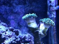 20150105_195243.jpg