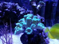 20150105_195248.jpg