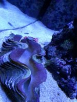 20150105_195256.jpg