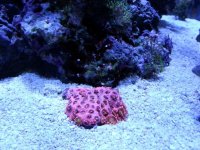 20150105_195308.jpg