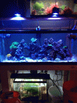 photo-2.gif
