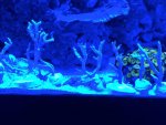 IMG_1730.jpg