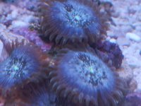 20150106_150440.jpg