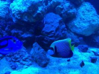 IMG_3831.jpg
