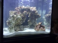 IMG_3962.jpg