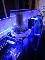 IMG_0060.jpg