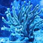 IMG_6915.jpg