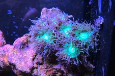 IMG_4629.JPG