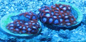 IMG_6917.JPG