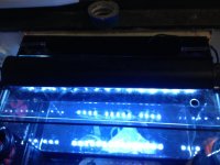 IMG_5587.jpg
