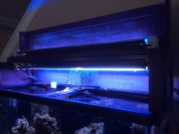 IMG_5616.JPG