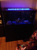 ImageUploadedByTapatalk1408890478.375092.jpg