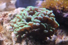 ImageUploadedByTapatalk1404968295.275402.jpg ImageUploadedByTapatalk1404968295.275402.jpg