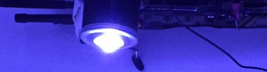 IMG_6280.jpg
