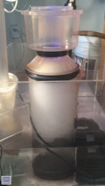 IMG_1172.jpg