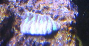 IMG_2370.jpg
