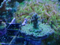 CAM00636.jpg