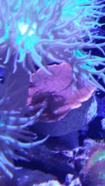 20140514_195213.jpg