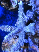IMG_0461.jpg