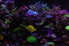 ImageUploadedByTapatalk1424104503.771550.jpg