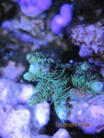 IMG_0477.jpg