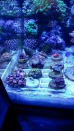 IMG_20150102_164055.jpg