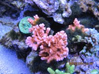 IMG_0486.jpg