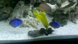 VIDEO0088_0000000333.jpg