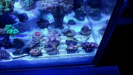 IMG_20150102_164556.jpg