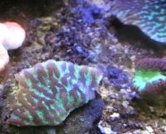 IMG_2369.jpg