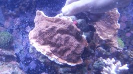 20140825_211012.jpg