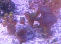 IMG_1124.JPG