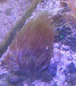 IMG_1126.jpg