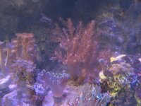IMG_1127.JPG