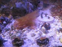 IMG_1129.JPG