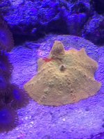 IMG_2078.jpg