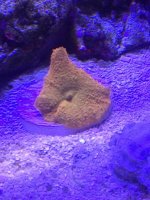 IMG_2079.jpg