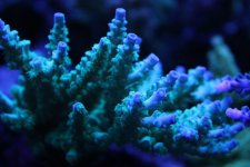 IMG_4998.jpg