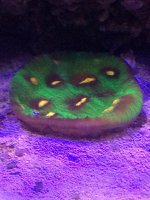 IMG_2081.jpg