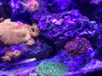 IMG_1318.jpg