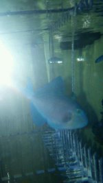 20150407_151355_resized.jpg