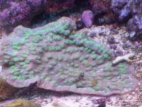20150109_141356.jpg