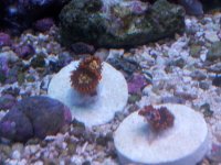 20150109_141343.jpg